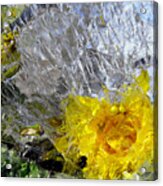 Crystal Flowers Acrylic Print