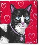 Cuddles The Tuxedo Cat Acrylic Print