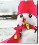 Cute Snowmen Dressed As A King With Crown And Cape Acrylic Print