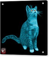 Cyan Cat Art - 3771 Bb Acrylic Print