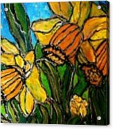 Daffodils Acrylic Print