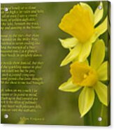 Daffodils Poem By William Wordsworth Acrylic Print