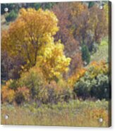 Dakota Prairie Autumn Acrylic Print