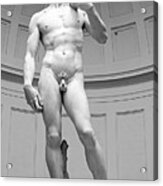 Michelangelo David Marble Statue, Accademia Gallery, Florence, Italy Acrylic Print