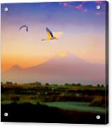 Dawn With Storks And Ararat From Night Train To Yerevan Ii Acrylic Print