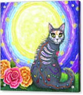Day Of The Dead Cat Moon - Dia De Los Muertos Gato Acrylic Print
