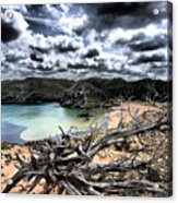 Dead Nature Under Stormy Light In Mediterranean Beach Acrylic Print