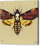 Death Head Hawk Moth Acrylic Print