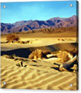 Death Valley Acrylic Print