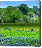 Decorative Texas Homestead Bluebonnets Meadow Mixed Media Photo H32517 Acrylic Print