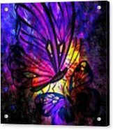 Deep Purple Butterflies Acrylic Print