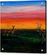 Deer Dawn Acrylic Print