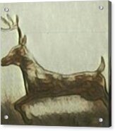 Deer Energy Acrylic Print