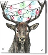 Deer With Light Acrylic Print