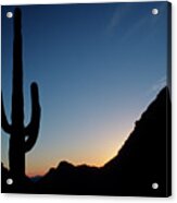 Desert Cactus Sunrise Acrylic Print
