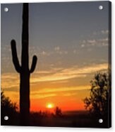Desert Daybreak Acrylic Print