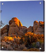 Desert Light Acrylic Print