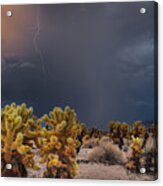 Desert Monsoon Acrylic Print