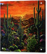 Desert Sunset Acrylic Print