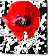 Design Poppy Acrylic Print