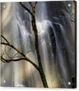 Details Of Double Falls, Oregon Acrylic Print