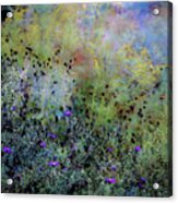 Digital Watercolor Field Of Wildflowers 4064 W_2 Acrylic Print