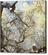 Dining In The Canopy Acrylic Print