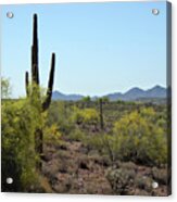 Distant Hills Acrylic Print