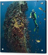 Diver At Wreck Acrylic Print