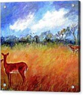 Doe And Fawn In Impending Storm Acrylic Print