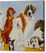 Dogs Are People Too Acrylic Print