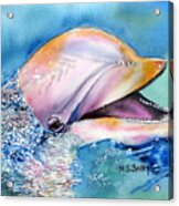 Dolphin Acrylic Print