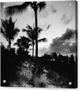 Dominicana Beach Acrylic Print