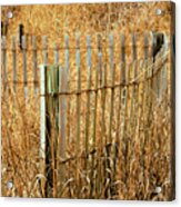 Don' T Fence Me In Acrylic Print