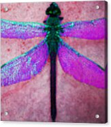 Dragonfly 6 Acrylic Print