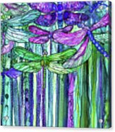 Dragonfly Bloomies 2 - Purple Acrylic Print