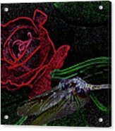 Dragonfly Dash With The Rose Neon Acrylic Print