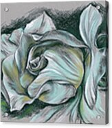 Dramatic White Rose Acrylic Print