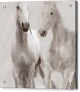 Dreamy Horses Acrylic Print