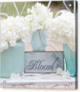 White Hydrangeas Cottage Decor- Shabby Chic White Hydrangeas In Aqua Blue Teal Mason Ball Jars Acrylic Print