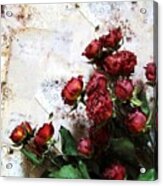 Dried Flowers Against Wallpaper Acrylic Print