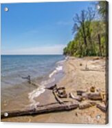 Driftwood On The Chesapeake Acrylic Print