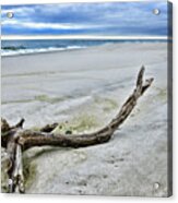 Driftwood On The Beach Acrylic Print