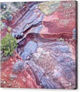 Dry Stream Canyon Areial View Acrylic Print