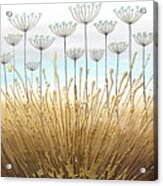 Duck Egg Alliums Acrylic Print