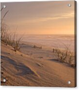 Dune View Acrylic Print