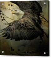 Eagle Rising Wildlife Art Acrylic Print