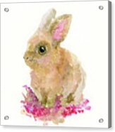 Easter Bunny Acrylic Print