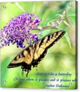 Eastern Tiger Swallowtail Painting With Butterfly Quote Acrylic Print