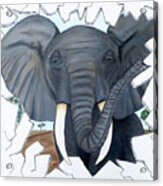 Eavesdropping Elephant Acrylic Print